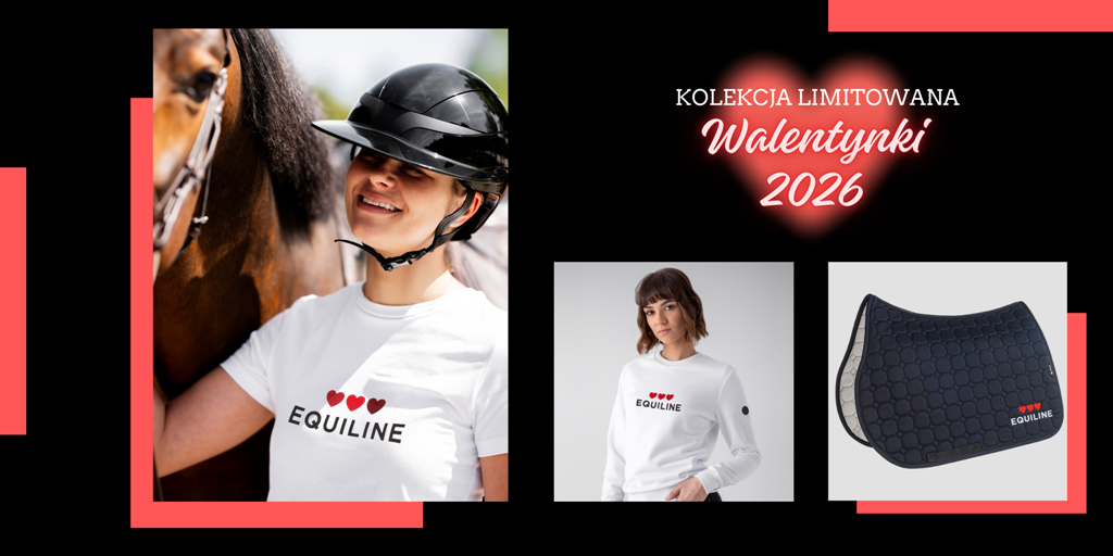 kolekcja walentynkowa baner sklep(1).png